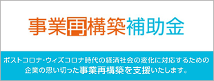 事業再構築補助金