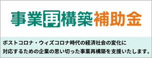 事業再構築補助金